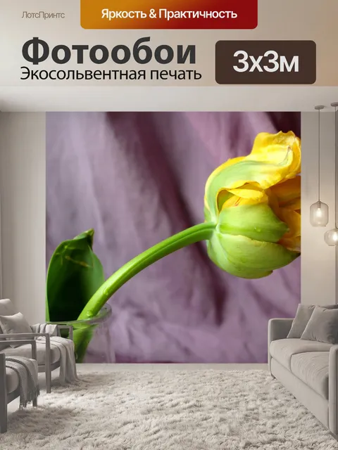 Фотообои Тюльпан