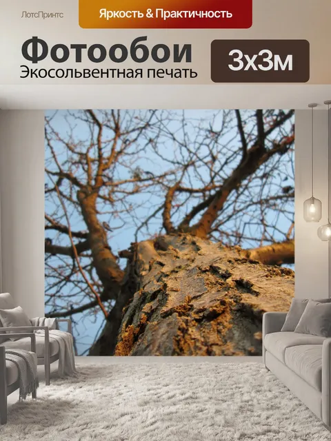 Фотообои Дерево Перспектива 7