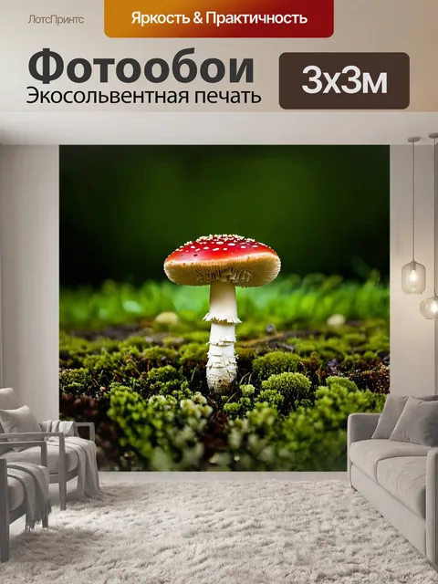 Фотообои **красный мухомор с белыми точками
