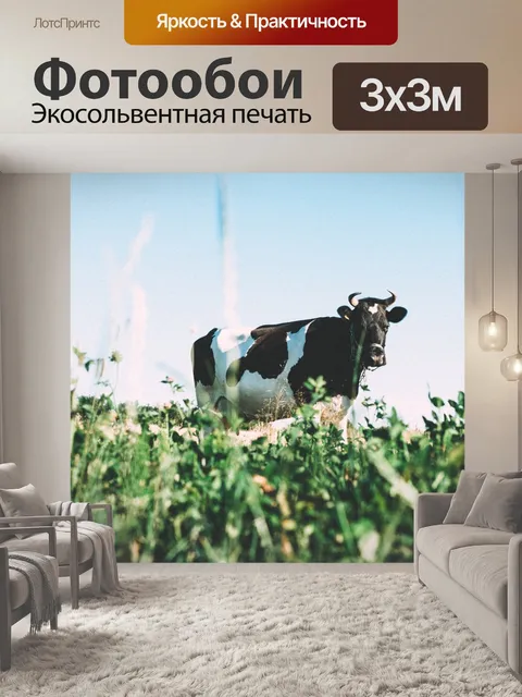 Фотообои Корова