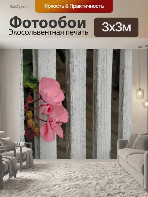 Фотообои Розовый цветок Белый Забор