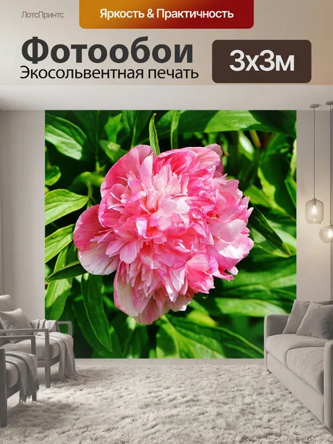 Фотообои Пион