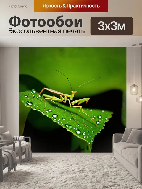 Фотообои на поверхности листа
