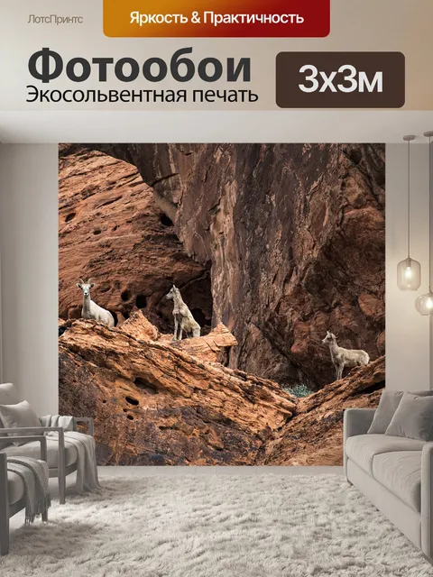 Фотообои Снежный баран