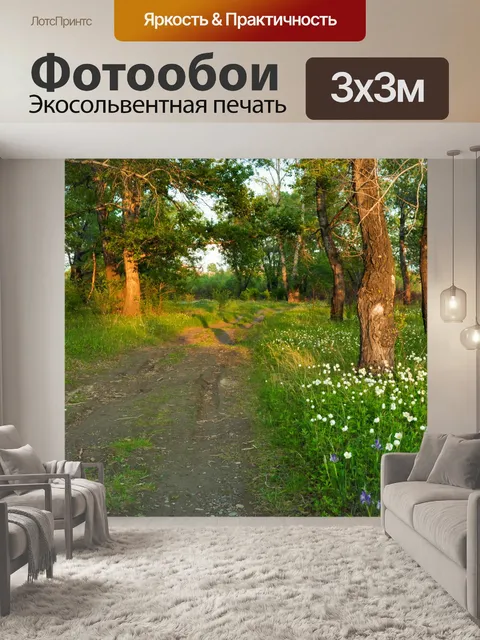 Фотообои Прогулка в лесу