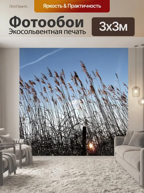 Фотообои Тростник