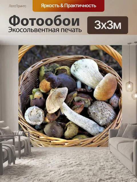 Фотообои Корзина с грибами