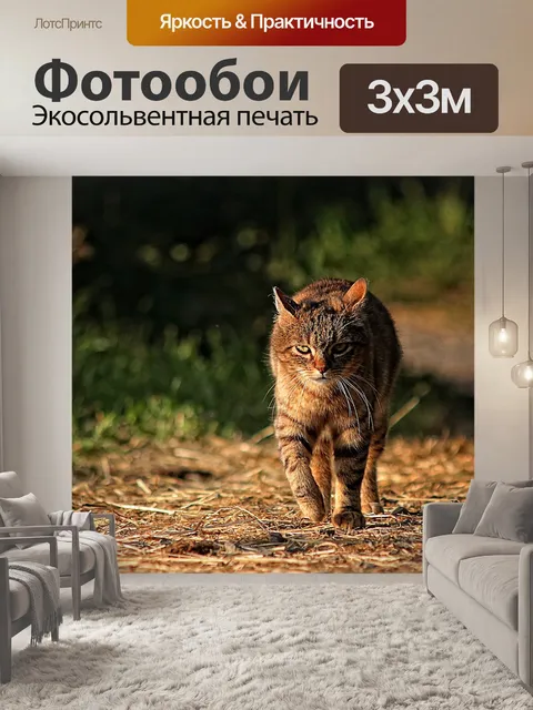 Фотообои Кошка