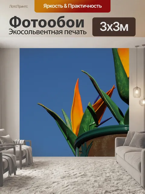 Фотообои Изысканная Висячие Цветочная корзина