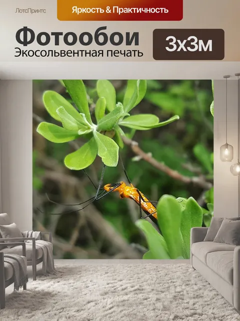 Фотообои Нимфа-убийца