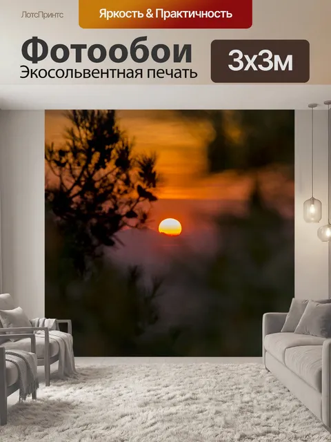 Фотообои Закат в лесу