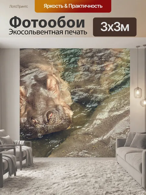 Фотообои Бегемот