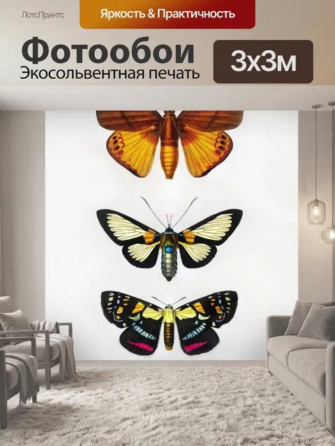 Фотообои Бабочки мотылек винтажное искусство
