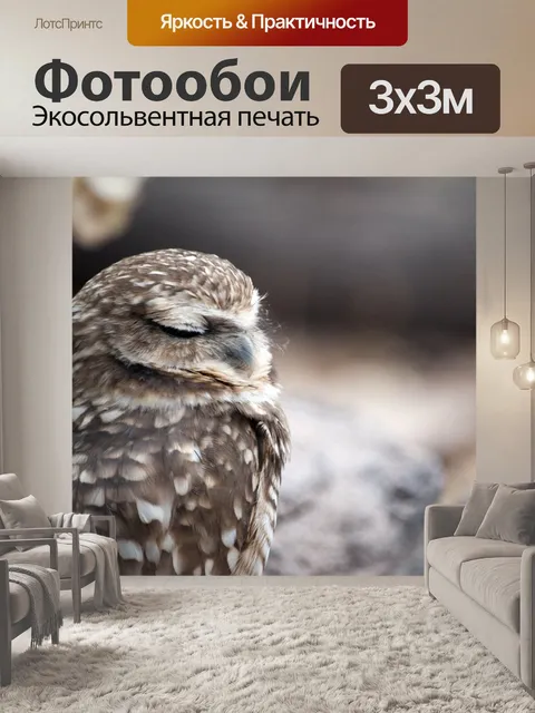 Фотообои Спящая сова