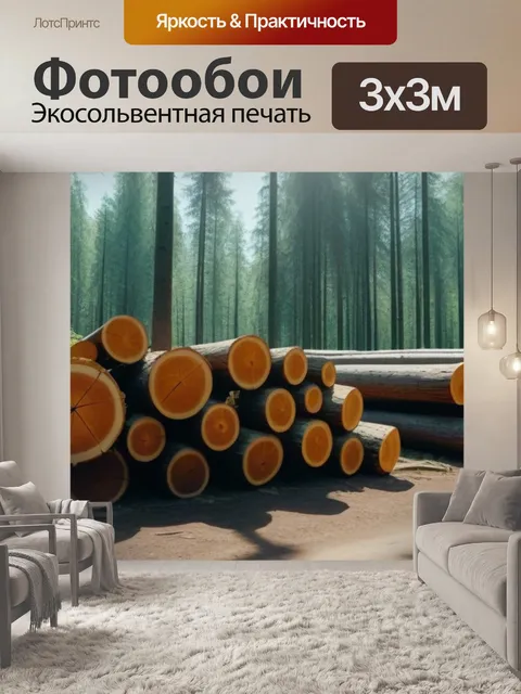 Фотообои солнечный лес с большими деревянными брусьями