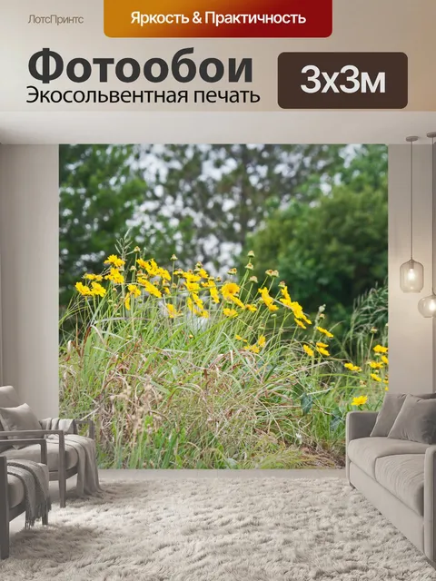 Фотообои дикие желтые цветы клеща