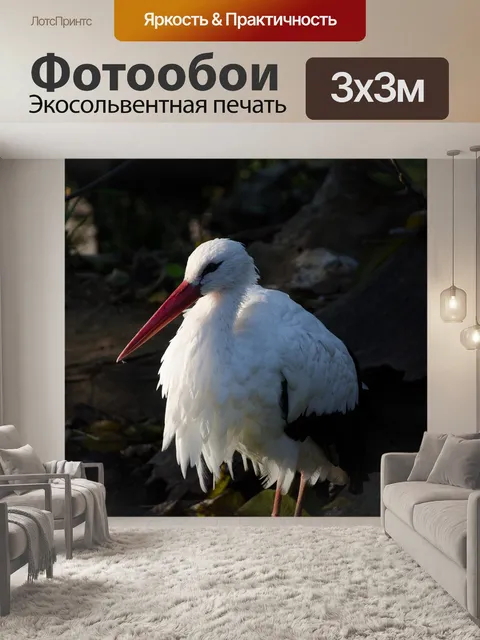 Фотообои Аист