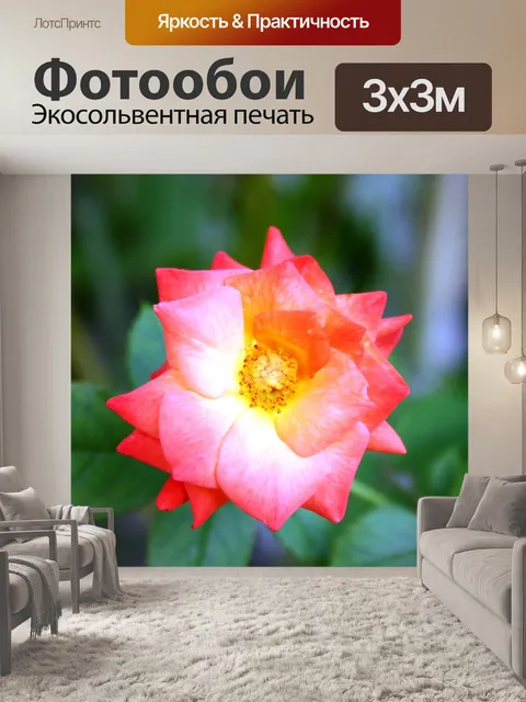 Фотообои Цветы