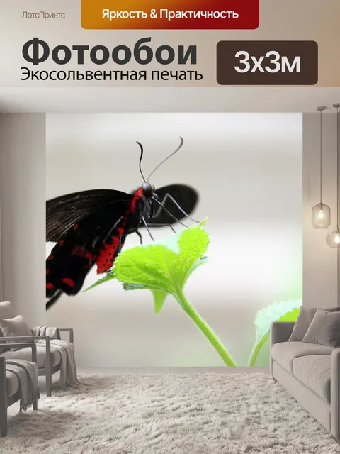 Фотообои Бабочка