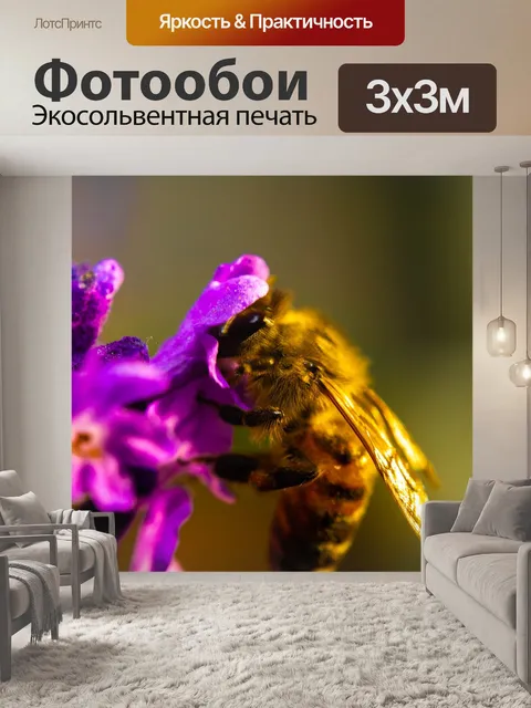 Фотообои Пчела