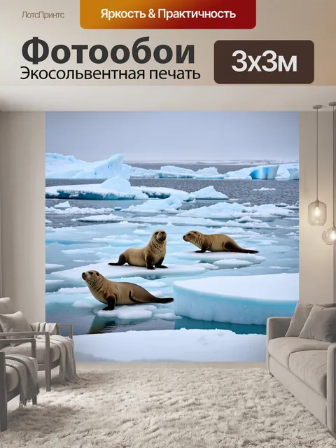 Фотообои зима в гавани, где тюлени играют на льду среди айсбергов