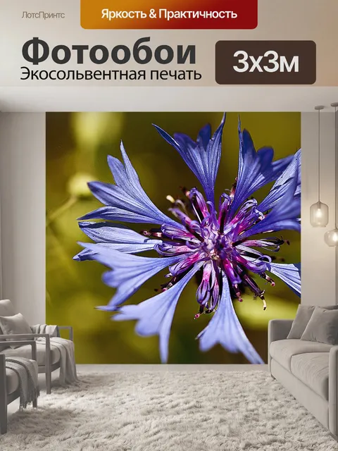 Фотообои Васильковый