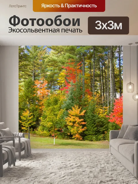 Фотообои Осенние деревья