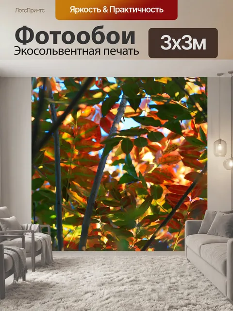 Фотообои затененные мыс ясень листья
