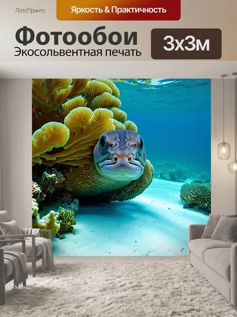 Фотообои мурена, выглядывающая из-за коралла в прозрачной воде, ее форма и цвет сливаются с окружающей средой