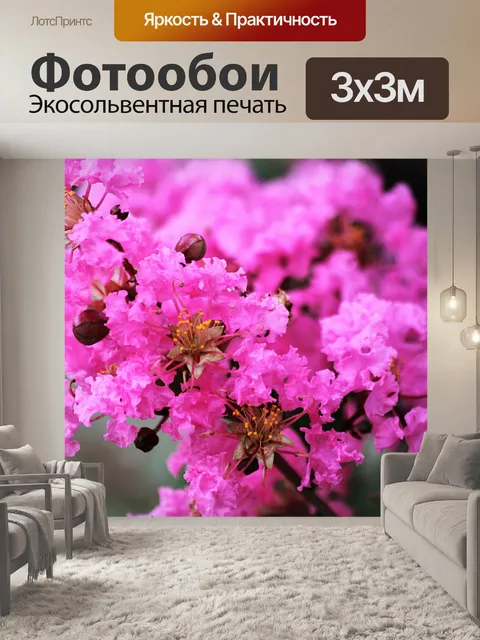 Фотообои Розовый Crepe Myrtle Крупный план 2