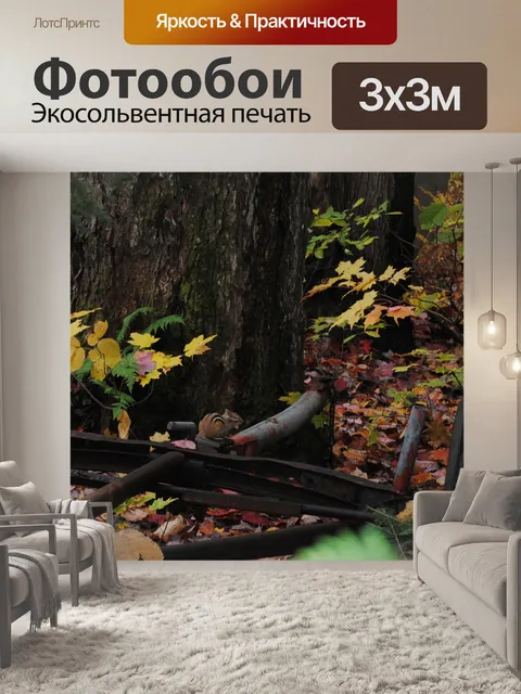 Фотообои Восточная Бурундук