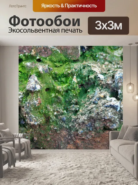 Фотообои зеленый мох на стене