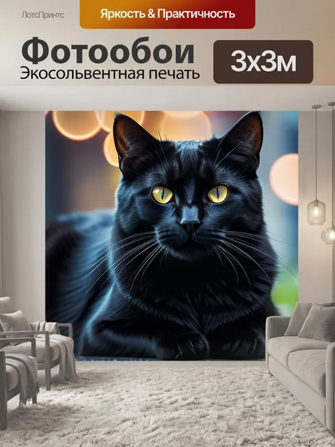 Фотообои с черным котом