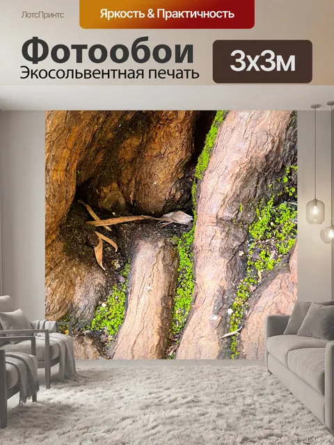 Фотообои Древнее дерево из железной коры 6
