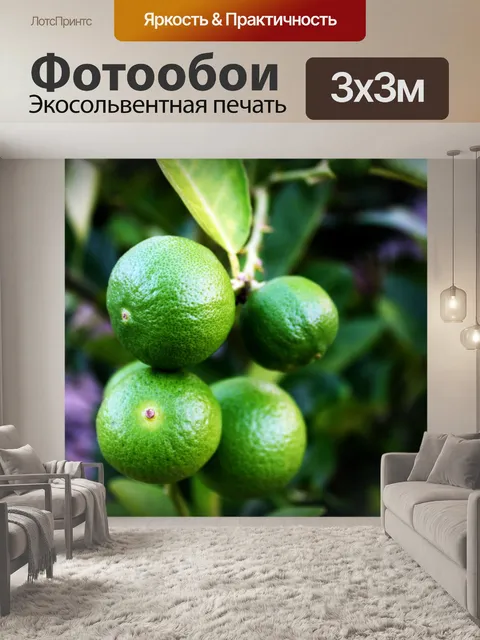 Фотообои Свежие лаймы на липе