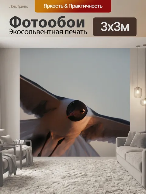 Фотообои Чайка