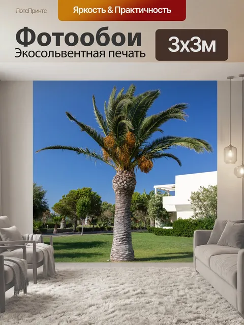 Фотообои Пальма на курорте