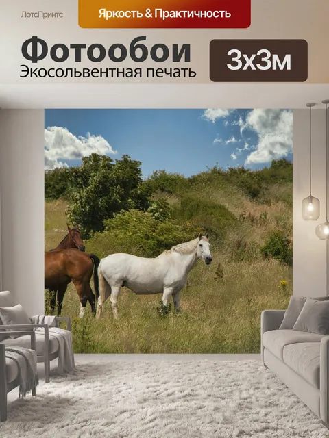 Фотообои Лошади