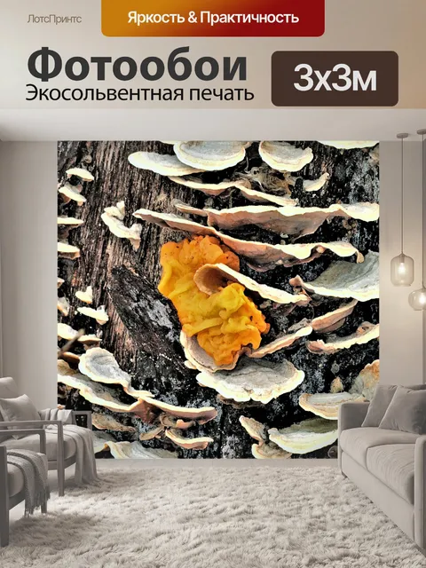 Фотообои Желтые желе Грибы и скобы