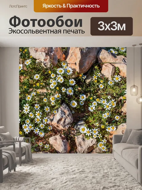 Фотообои Ромашка