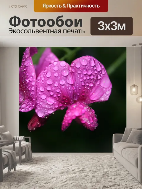 Фотообои Чина