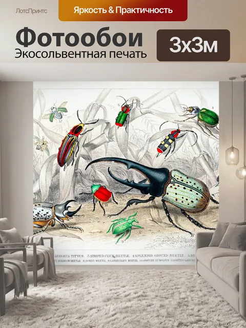 Фотообои Иллюстрация винтажного искусства жука