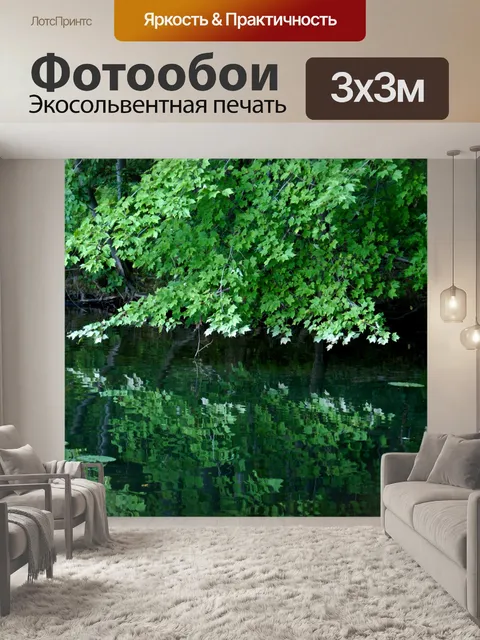 Фотообои Отражение зеленых листьев