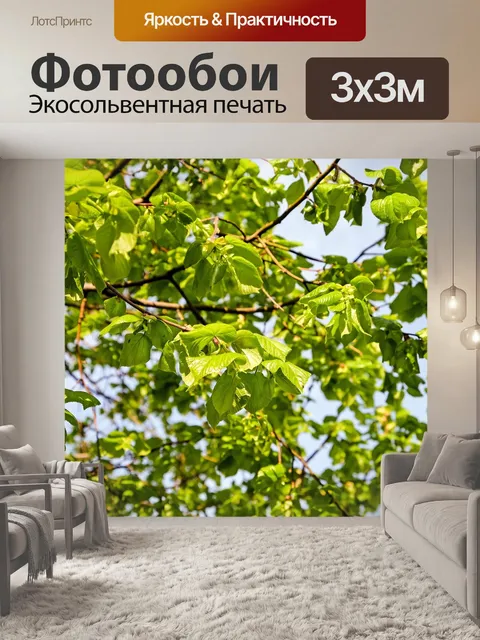 Фотообои Липа