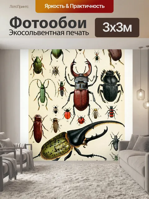Фотообои Насекомые, жуки, винтажное искусство