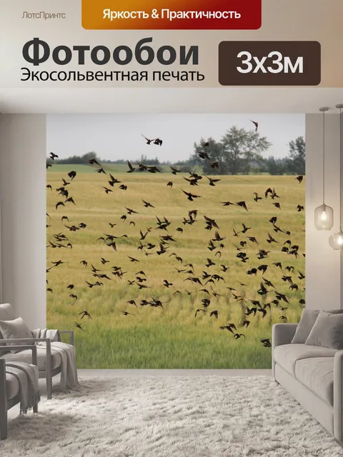 Фотообои Стая черных птиц