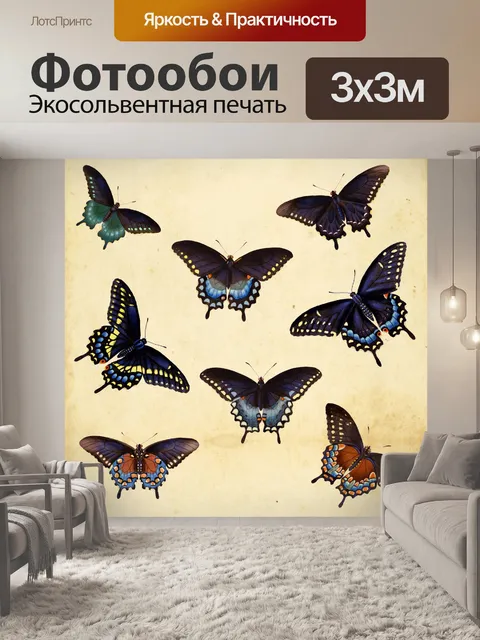 Фотообои Коллекция старинных бабочек