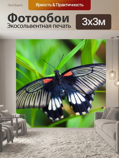 Фотообои черный белый красный бабочка