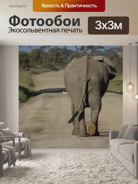 Фотообои Африке