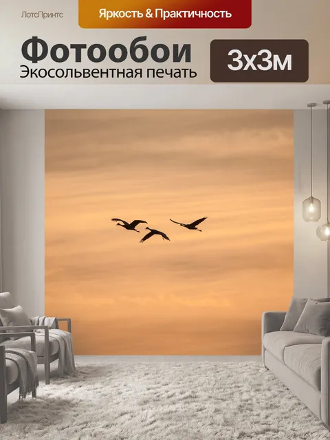 Фотообои Силуэт